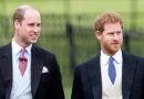 Prince William suffers because of Harry: A friend from his circle came up with a sad claim
