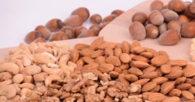 Differences between animal and plant proteins