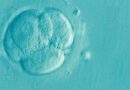 When to treat IVF?