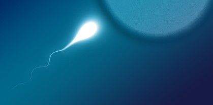 The phenomenon of the absence of sperm in men