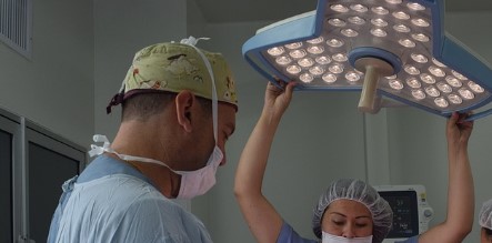 Surgery for idol breed, maiden with chin necrosis