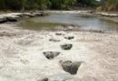 113 million-year-old dinosaur footprints revealed in the bottomless dry river