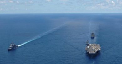 The Egyptian, American and Spanish navies exercise in the Mediterranean