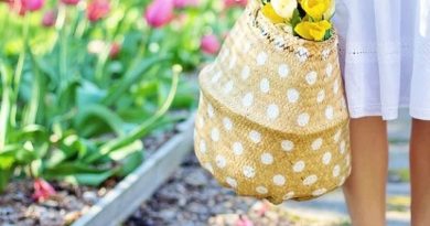 Gardening - Not only does it make the outside space beautiful, but this hobby can also help with mental health.