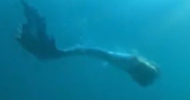 Scientists have solved the mystery of the famous Japanese mermaid: She was not a human being