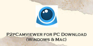 p2pcamviewer for pc