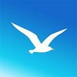 download seagull vpn for pc