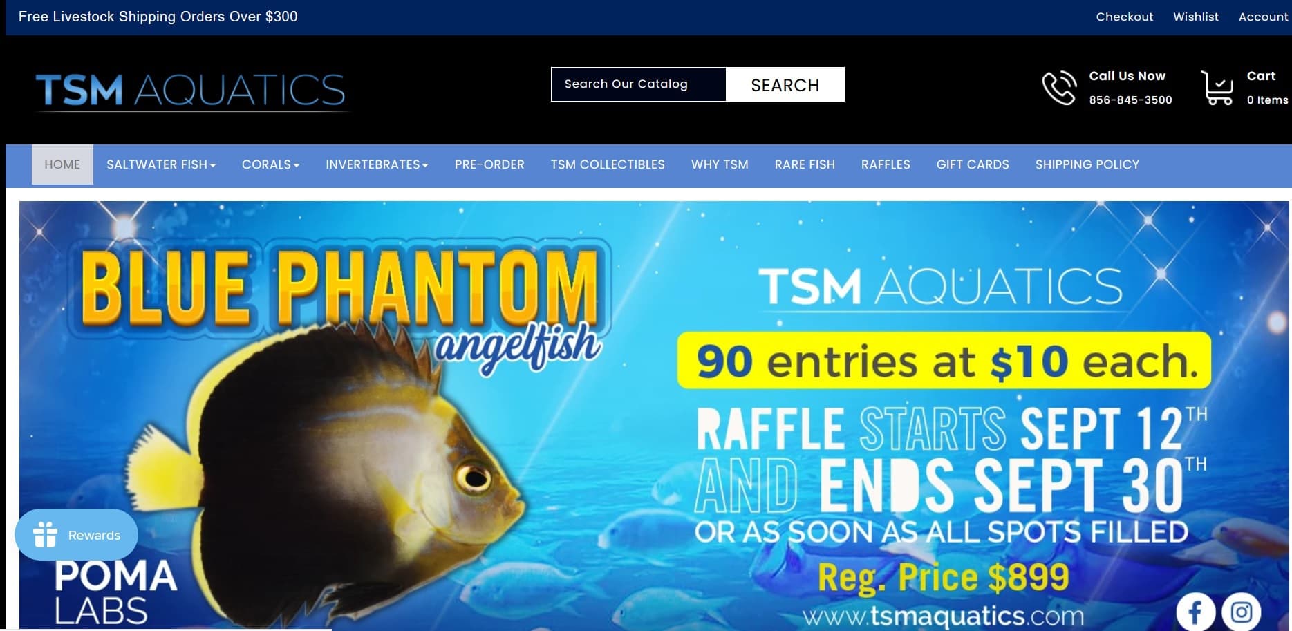 online fish stores