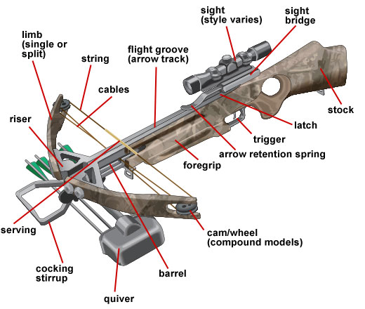 Parts of a Crossbow