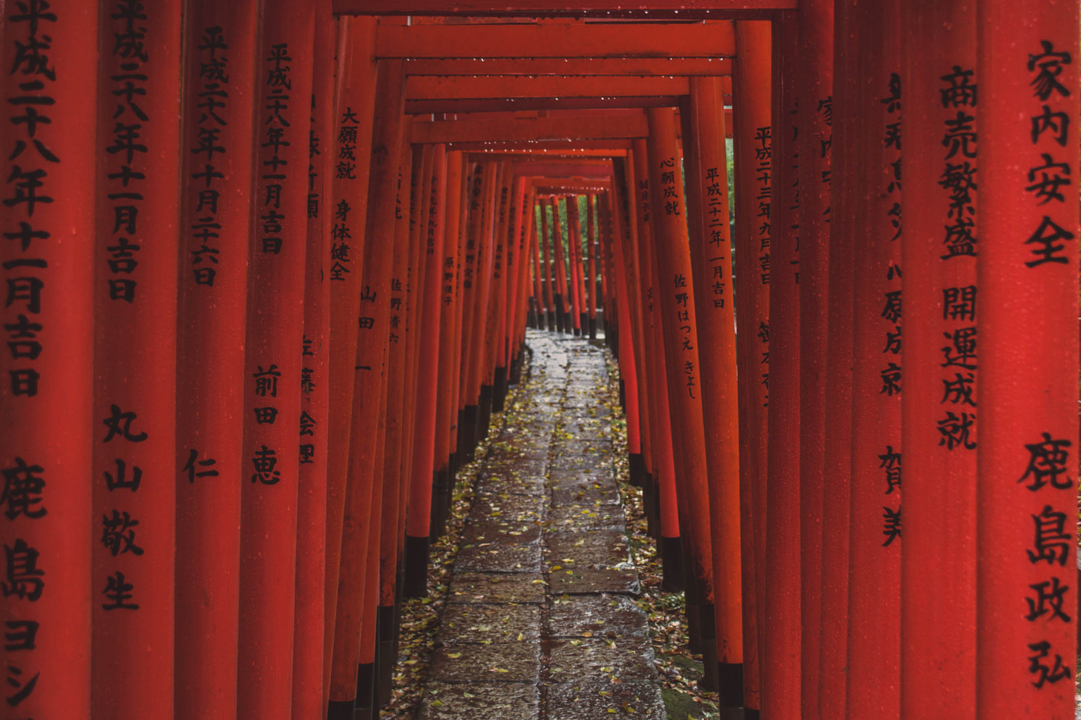Yanesen Tokyo - Visite du sanctuaire de Nezu 2