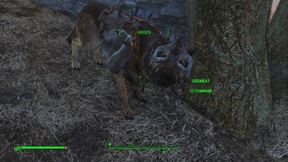 fallout4_dogmeat_full_armour