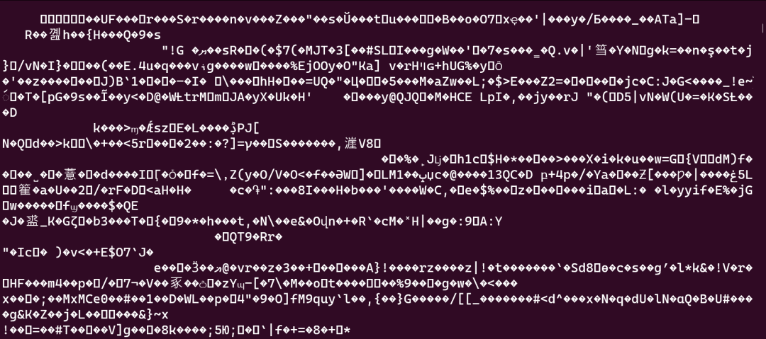 Sceenshot of a terminal containing a long string of unintelligible text including alphanumerical values as well as symbols and characters that cannot be rendered. It legitimately looks like alien writing