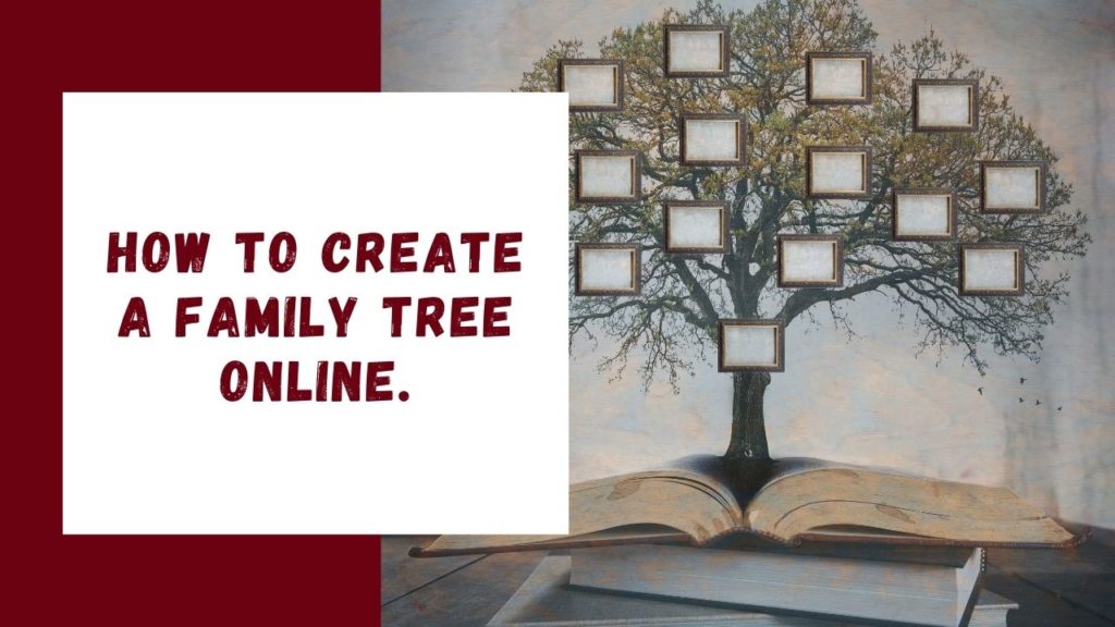 How to create a family tree online