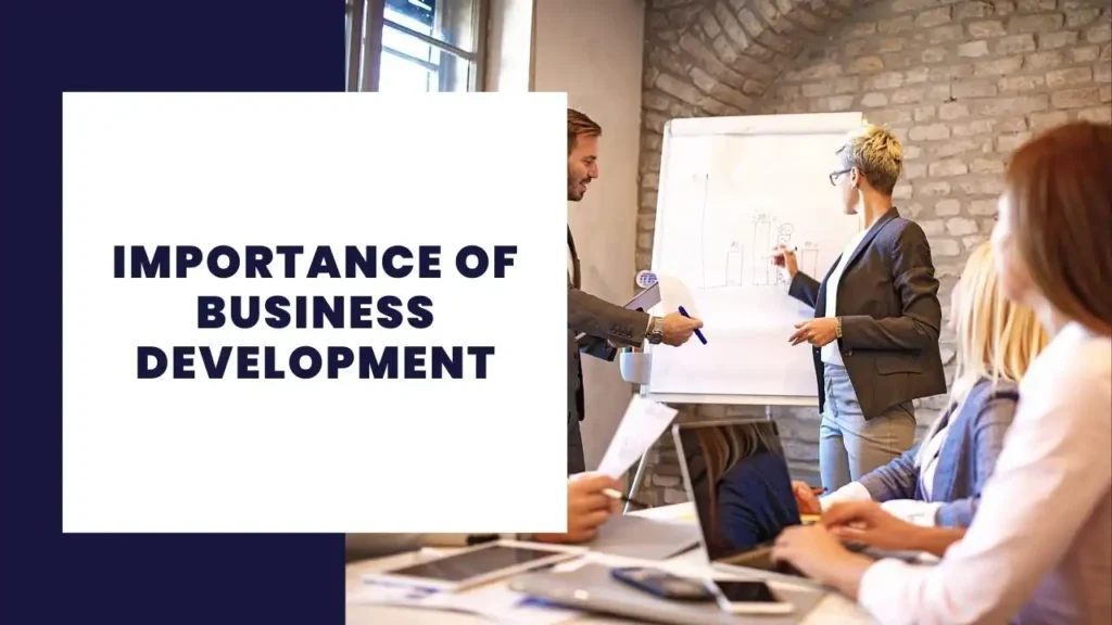 Importance of business development