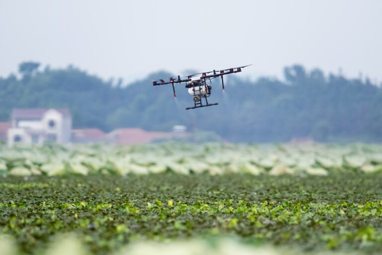 agriculture drone sprayed fertilizer
