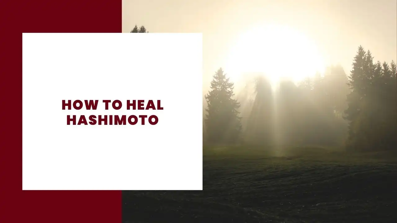 hashimoto كيفية الشفاء