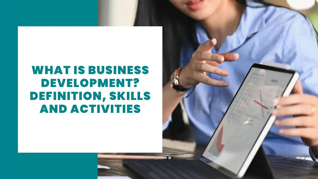 what is business development