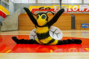 The mysterious BHS mascot, Jac, performs the splits in Donahue Gym.