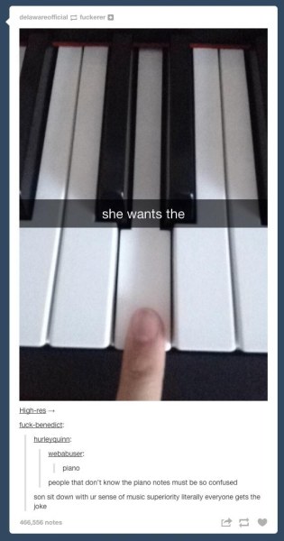 32 Hilarious Responses That Prove Tumblr Is the Best
