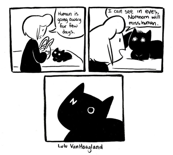 Artist ShowsWhat It's Like to Own a Cat in Hilariously Relatable Comics