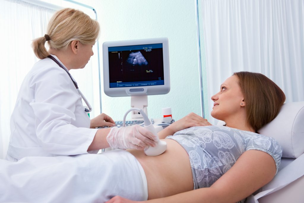 Segundo mês da gravidez: como o bebê está nessa fase?