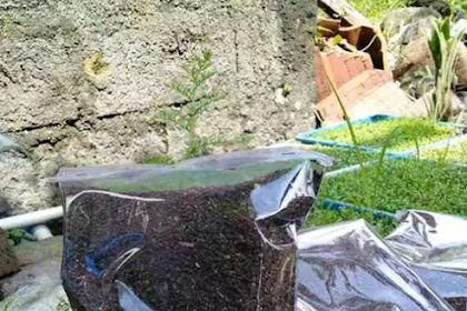 Metode Membuat Pupuk Organik Padat Simpel 