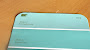 Eucalyptus Leaf Paint Color