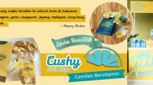 Bisnis keripik buah omzet puluhan juta