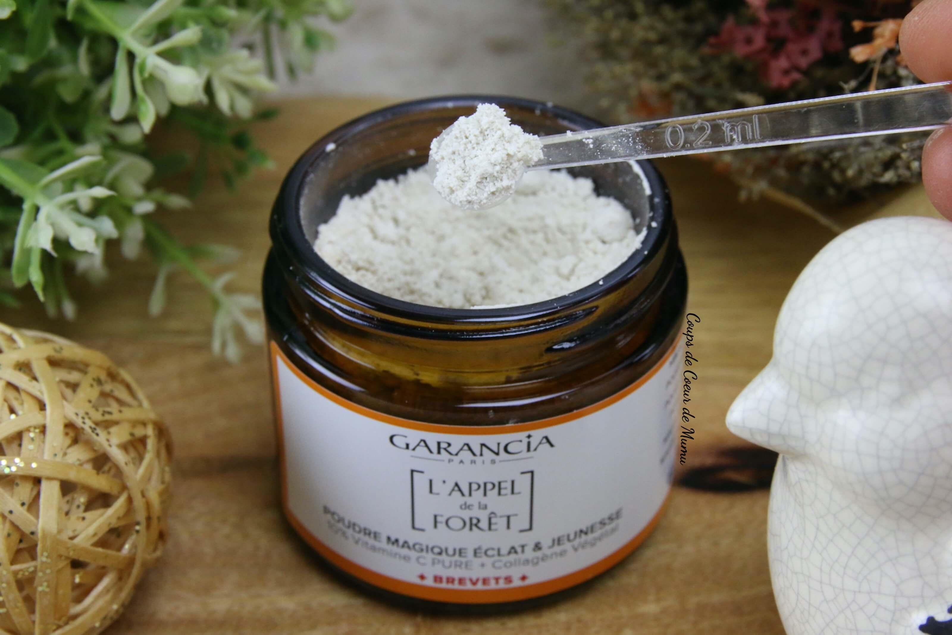 Eclat Et Jeunesse Avec La Poudre Magique L Appel De La Foret De Garancia Coups De Coeur De Mumu