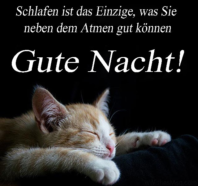 Beste Neu Witzig Gute Nacht Lustig