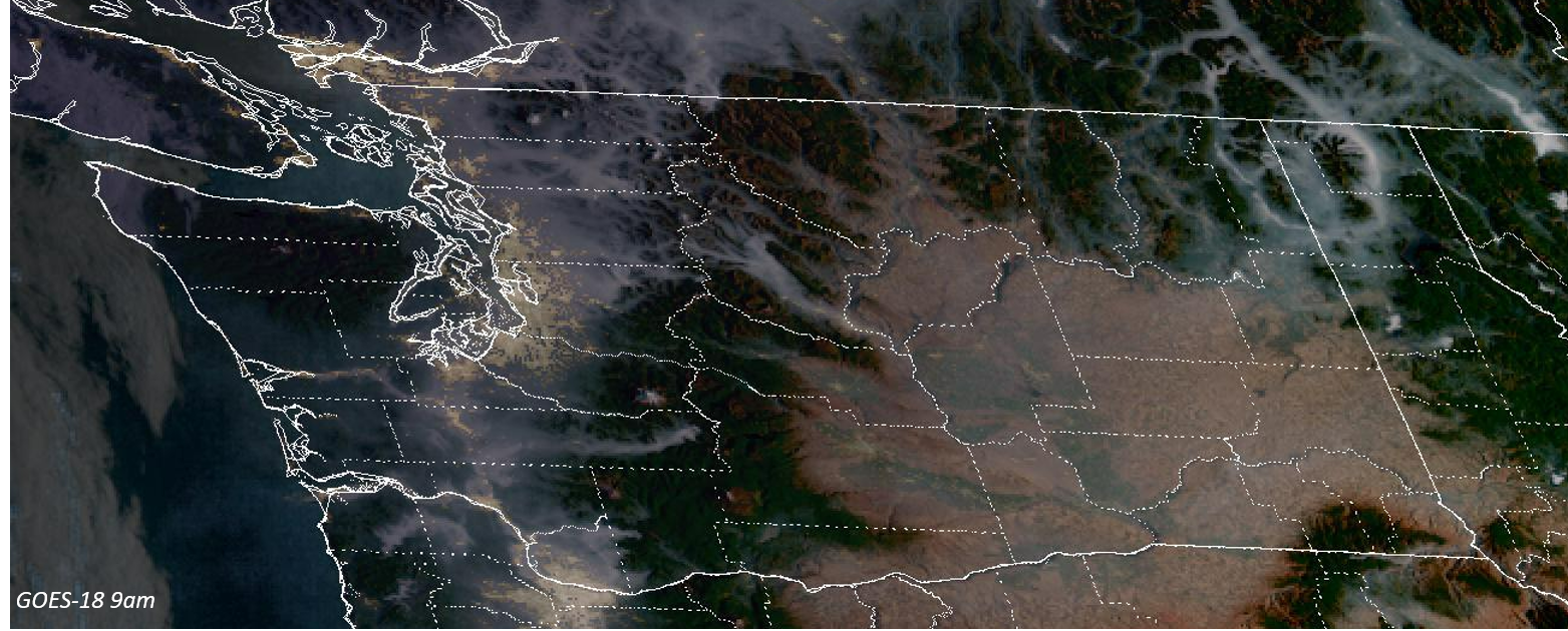 Washington Smoke Information