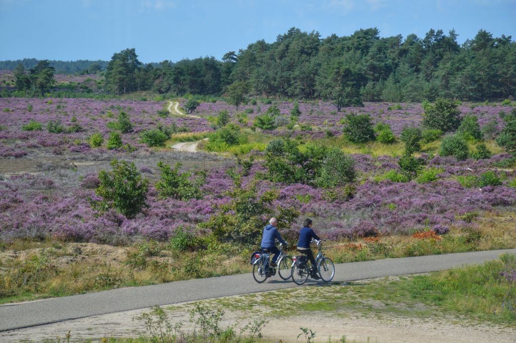 Twadde Huske Vakantiehuisje In Ermelo Omgeving
