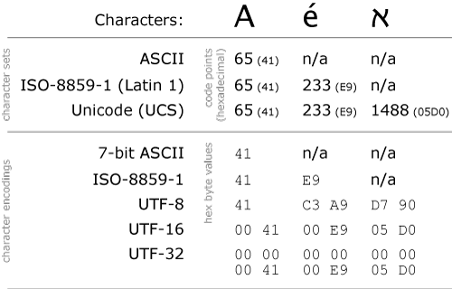 Byte array to String in Java with Example