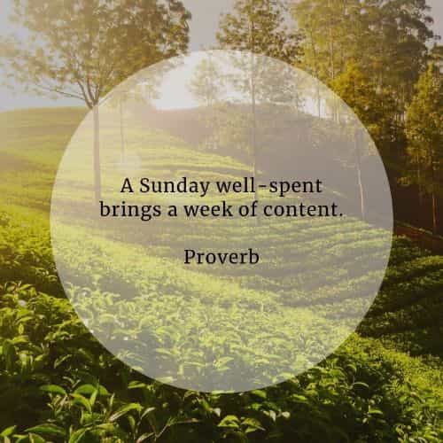 65 Sunday Quotes That Ll Help You Start The Week Positively