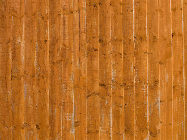 Wood orange sunlight texture