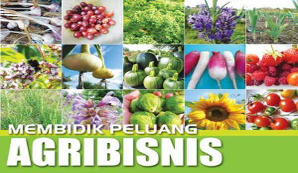 sukses Usaha Agribisnis