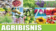 Peluang Usaha Agribisnis