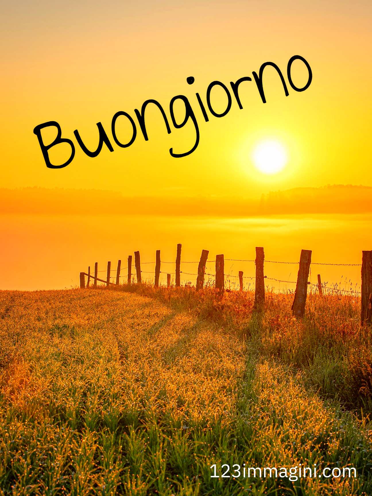 Le Fate Del Sole Buongiorno Immagini Nuove Gratis Per Whatsapp 123immagini Com