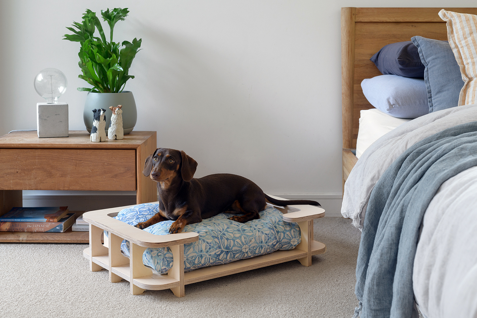 The Paws Room New Eco Pet Furniture Australian Dog Lover