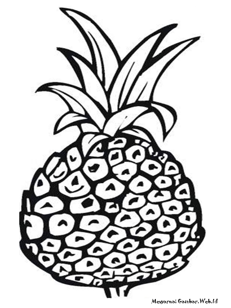Mewarnai Buah Duku Coloring Y