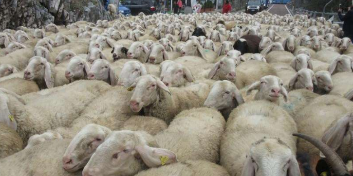 Offerte Di Lavoro Agricoltura Italia Svizzera