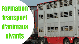 Examen Vtc Corrige 2022 Les Questions Avec Les Reponses Qcm Vtc Corrige 90km