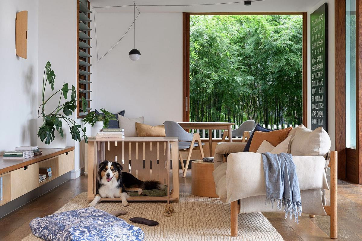 The Paws Room New Eco Pet Furniture Australian Dog Lover