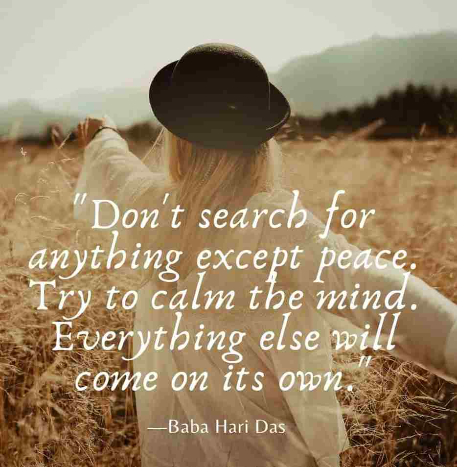 Peace Quotes In English Peaceful Life Quotes
