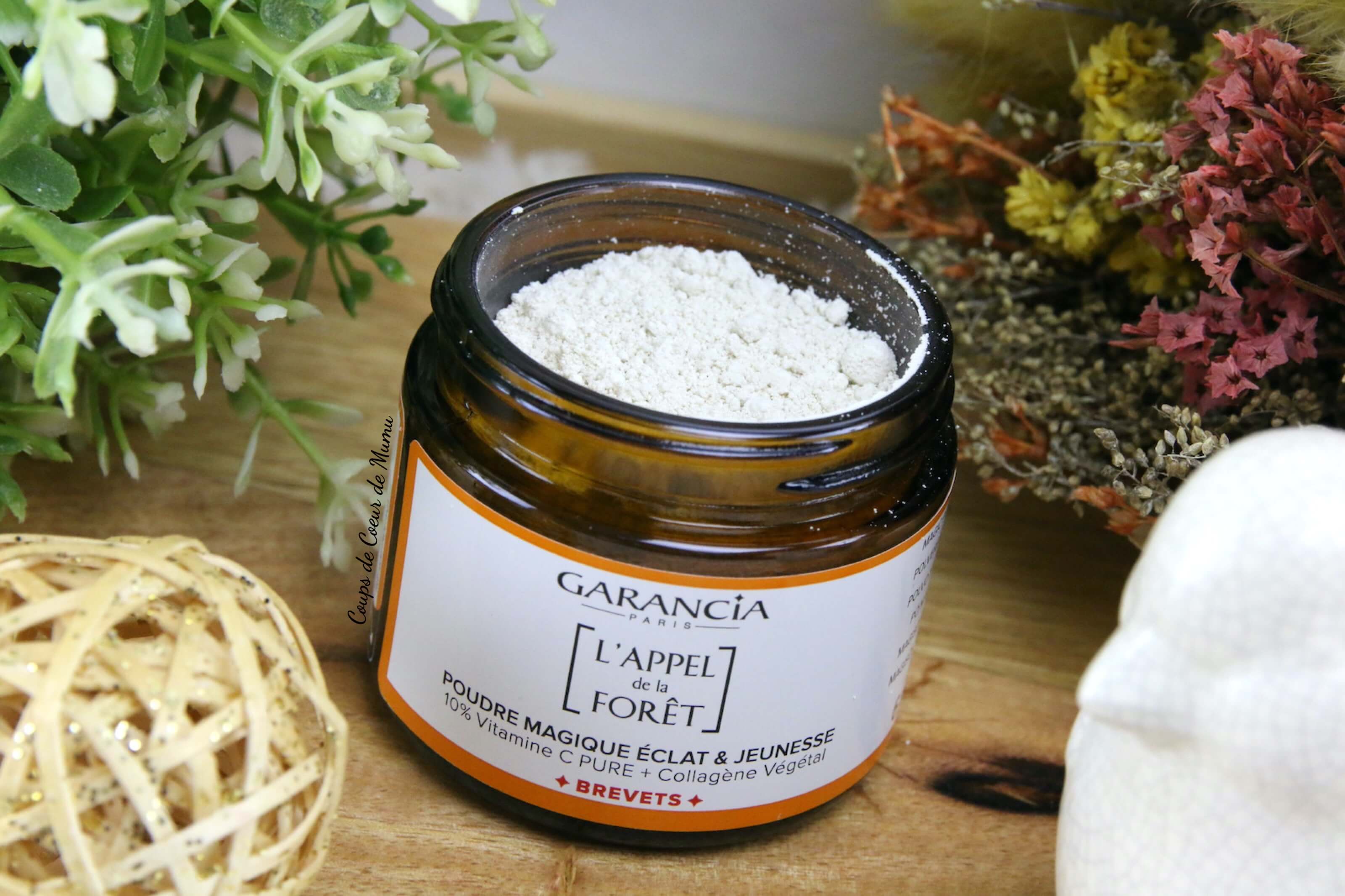 Eclat Et Jeunesse Avec La Poudre Magique L Appel De La Foret De Garancia Coups De Coeur De Mumu