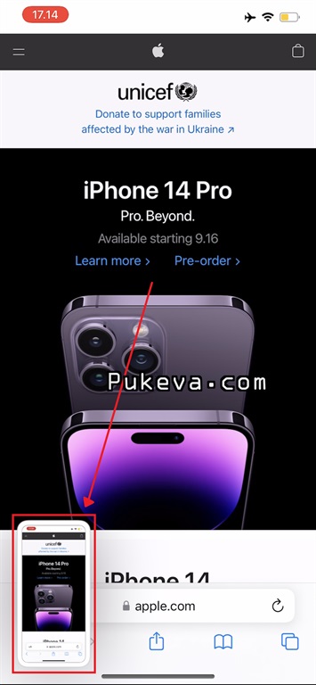 Cara Screenshot Di Iphone 14 14 Plus 14 Pro 14 Pro Max Pukeva