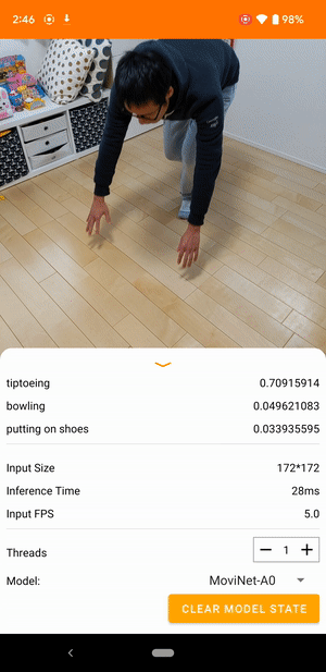Video Classification on Edge Devices with TensorFlow Lite and MoViNet