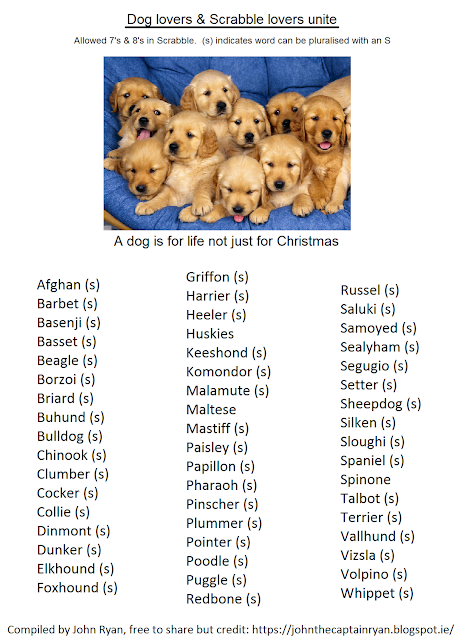 A dog is for life and so is Scrabble