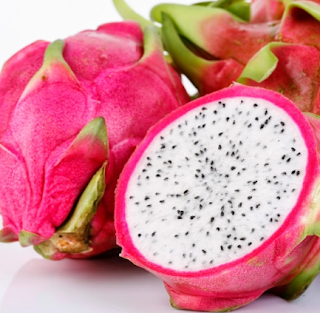 KLASIFIKASI BUAH NAGA LENGKAP KLASIFIKASI BUAH NAGA LENGKAP