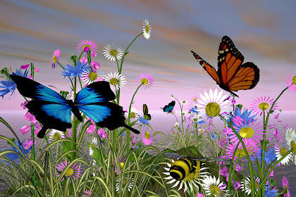 Disegni Fiori Farfalle